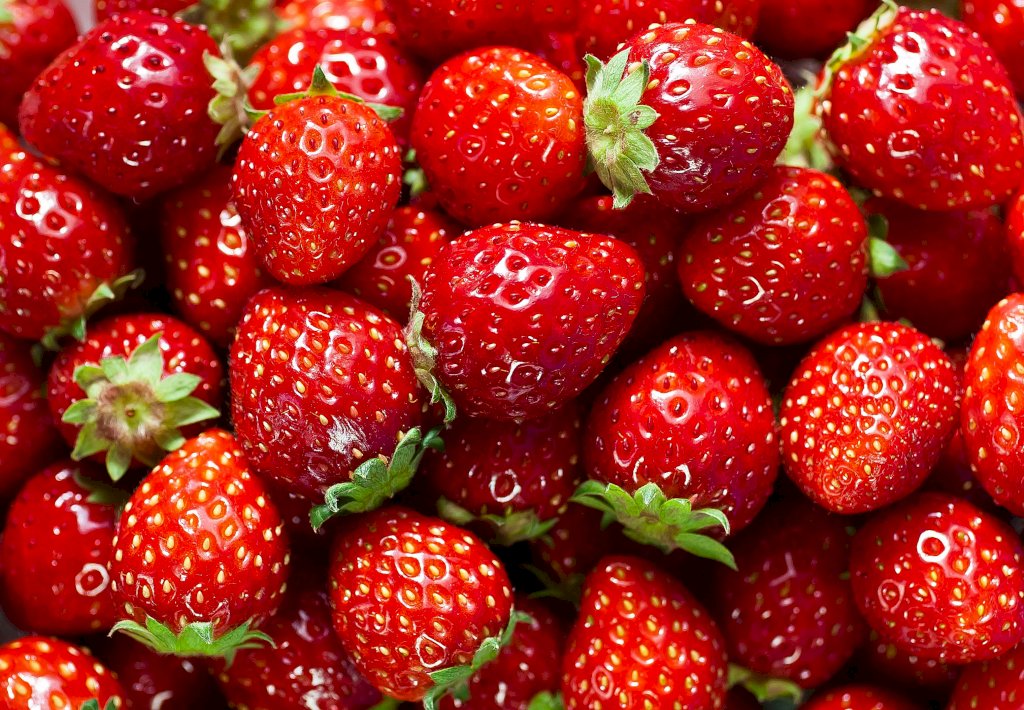 The importance of farmers growing strawberries, best practices