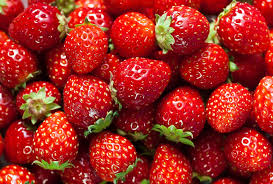 Photo of The importance of farmers growing strawberries, best practices